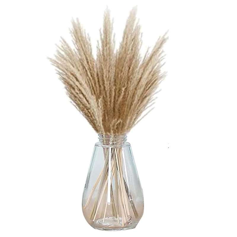 Dried Pampas Grass,for Flower Arrangements,wedding, Office,home Decor