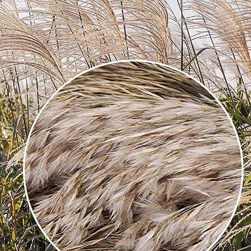 Dried Pampas Grass,for Flower Arrangements,wedding, Office,home Decor