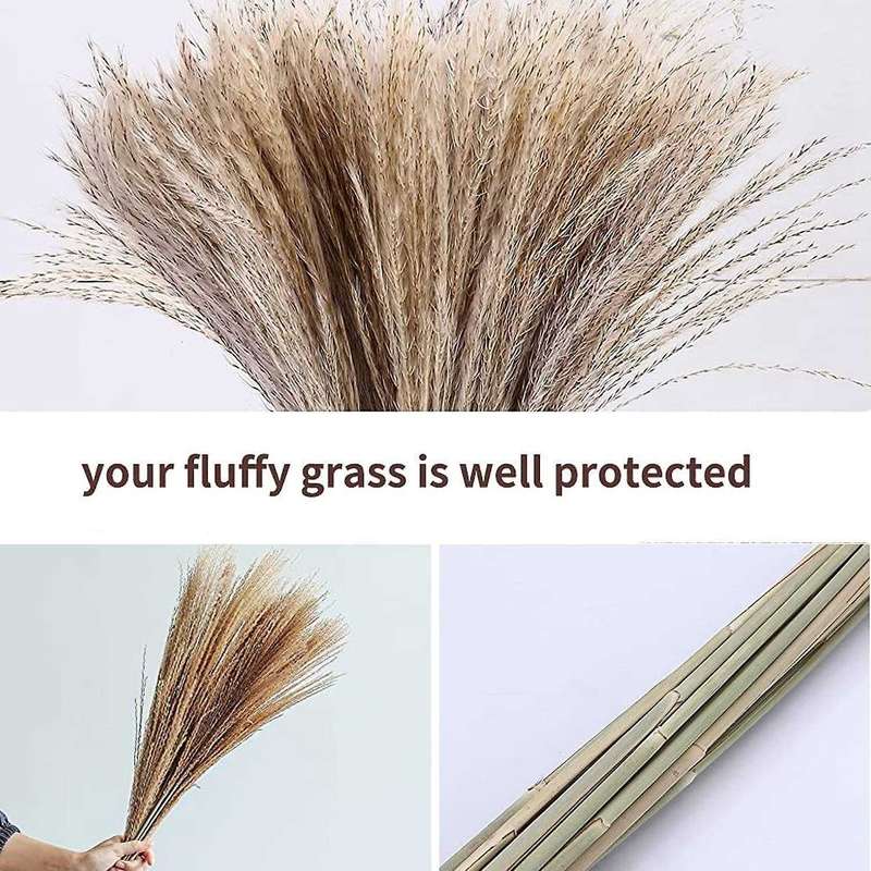 Dried Pampas Grass,for Flower Arrangements,wedding, Office,home Decor