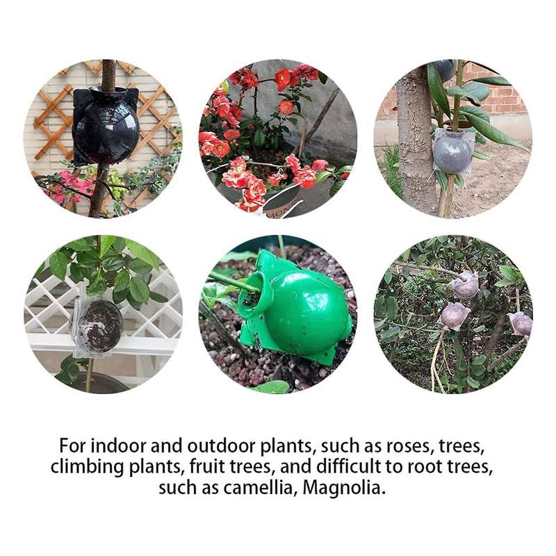 Plant Root Planting Growth Box Cutting Root Controller Grafting Ball