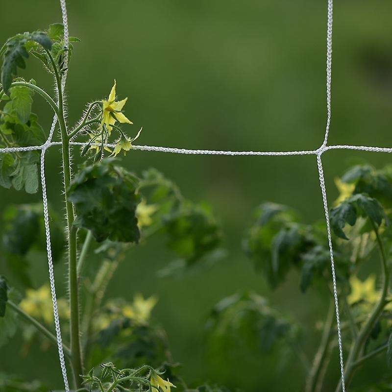 Plant Support Vine Climbing Hydroponics Garden Net Accessories