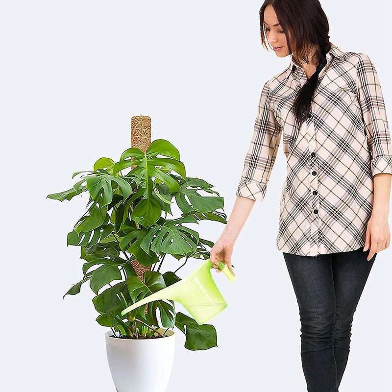 2 Moss Poles with 100 Reusable Twist Ties-suitable for Plants