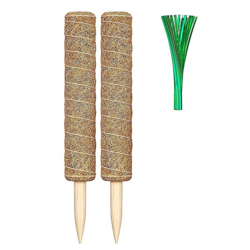 2 Moss Poles with 100 Reusable Twist Ties-suitable for Plants