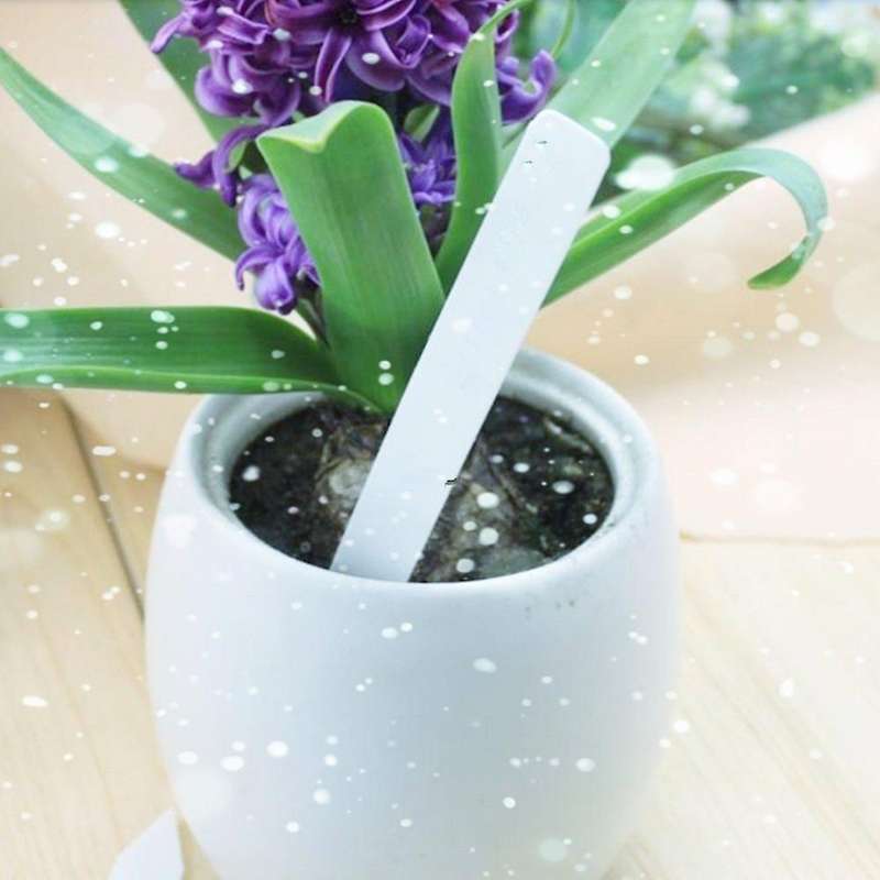 200pcs Plant Labels Plastic Nursery Garden Tags