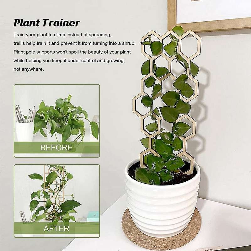 3pcs Climbing Vine Rack Plant Potted Wood Support Frame Rack Pole -3