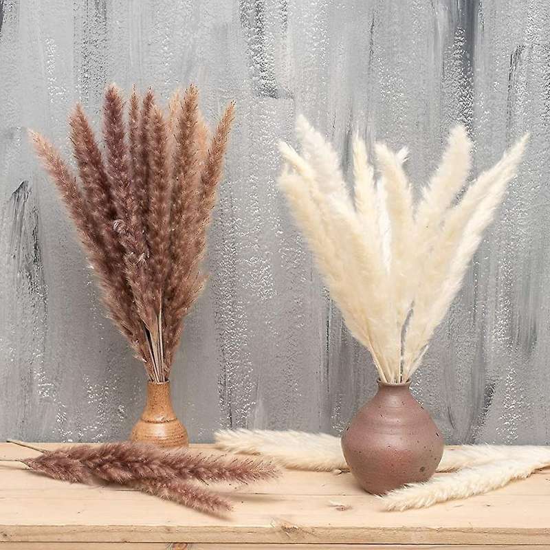 Dried Pampas Grass for Home Decor,faux Pampas Grass,white ,brown Mini