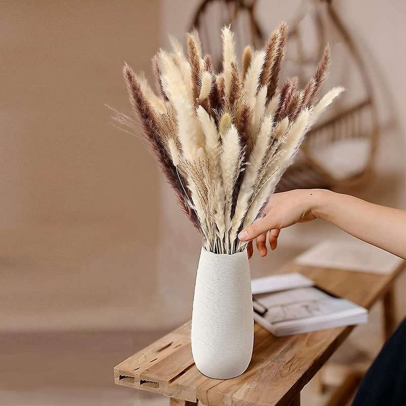 Dried Pampas Grass for Home Decor,faux Pampas Grass,white ,brown Mini
