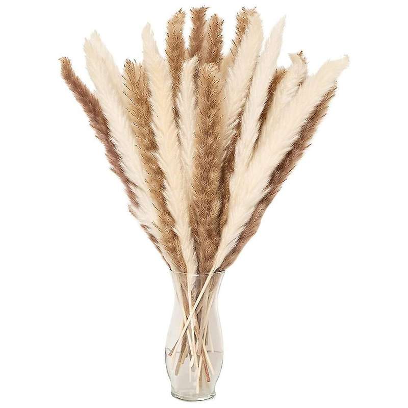 Dried Pampas Grass for Home Decor,faux Pampas Grass,white ,brown Mini