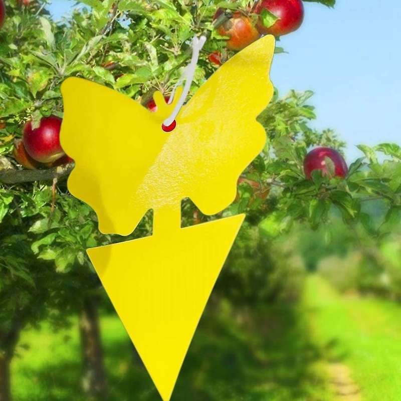 20pcs Sticky Trap,fruit Fly and Gnat Trap Yellow Sticky Bug Traps