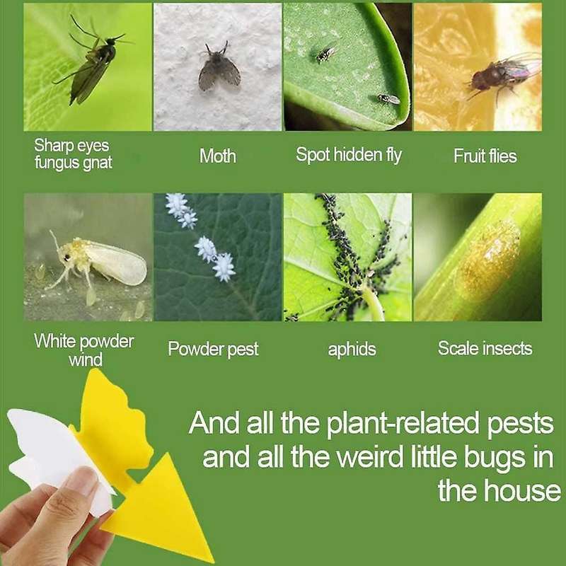 20pcs Sticky Trap,fruit Fly and Gnat Trap Yellow Sticky Bug Traps