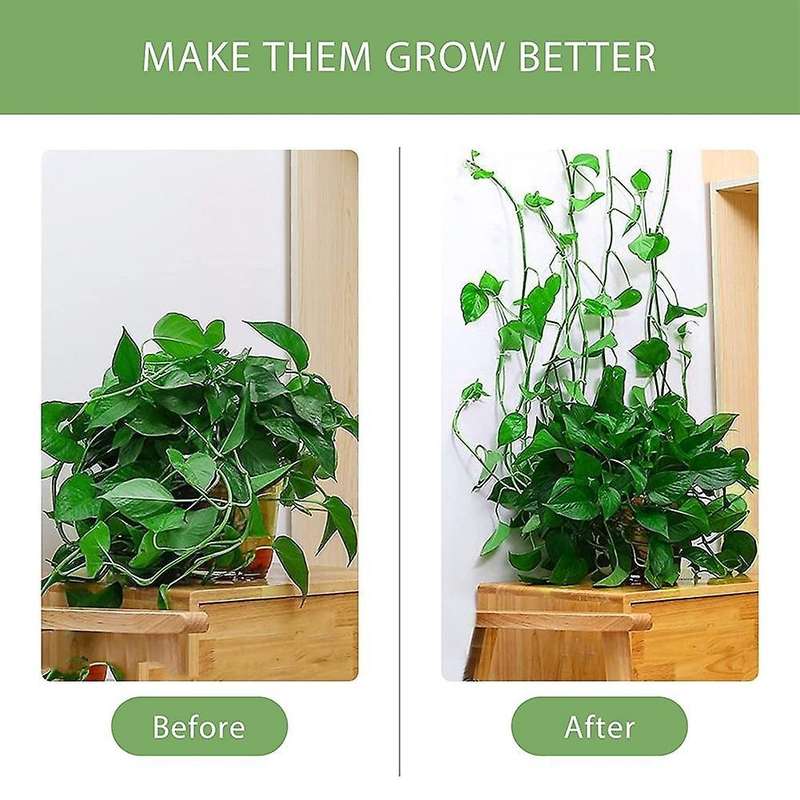 Plant Clips for Climbing Plants(pack Of 60), Stems Upright, Vines