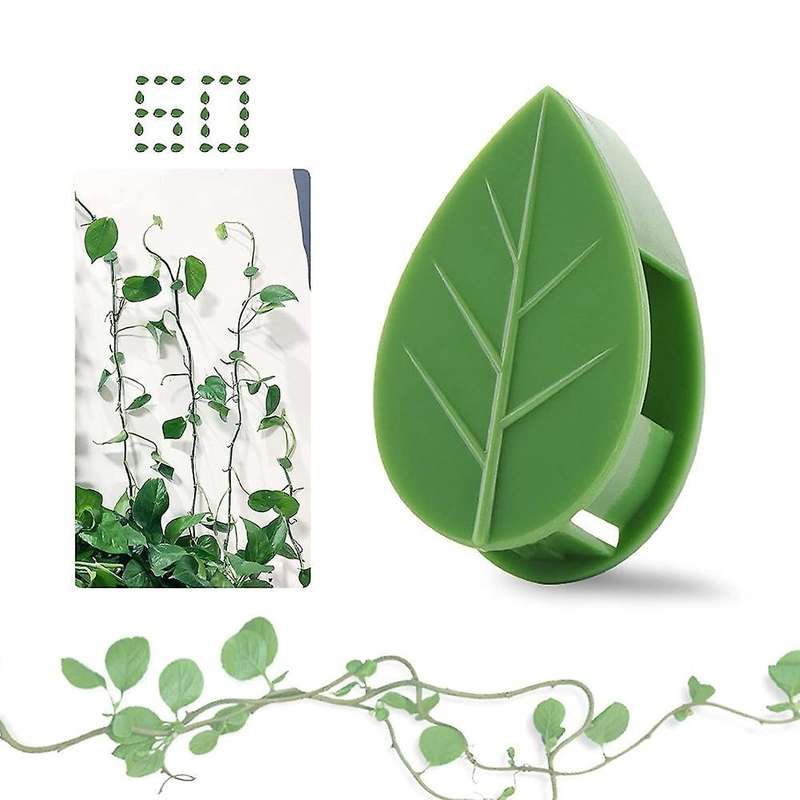 Plant Clips for Climbing Plants(pack Of 60), Stems Upright, Vines