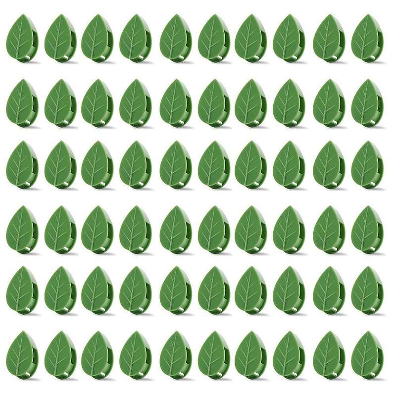 Plant Clips for Climbing Plants(pack Of 60), Stems Upright, Vines