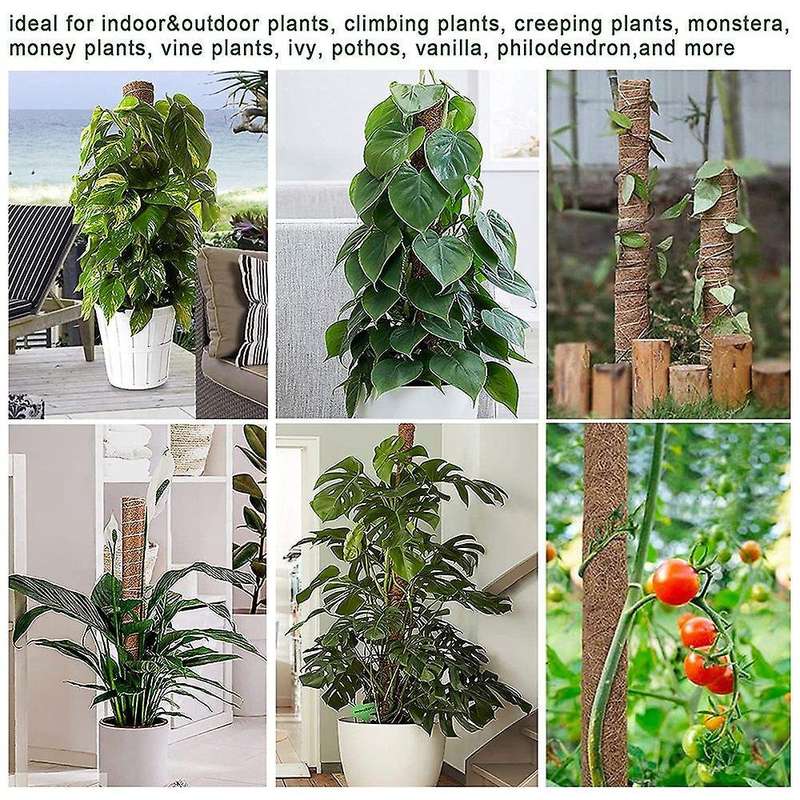 Moss Pole Monstera Coir Totem Pole for Climbing Plants Moss Sticks