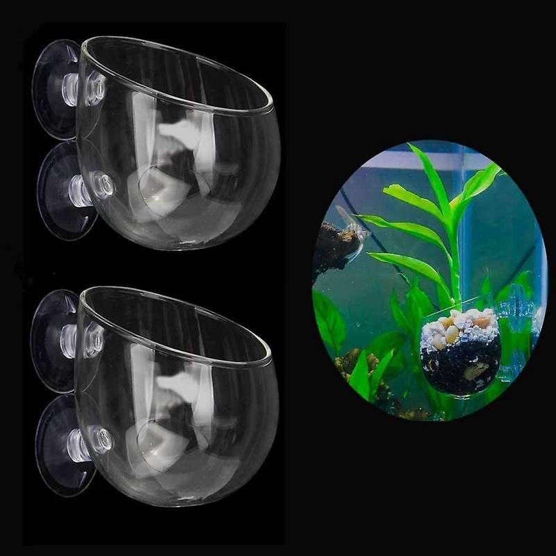 Aquatic Planter Red Shrimp Live Plants Fish Tank Glass Holder