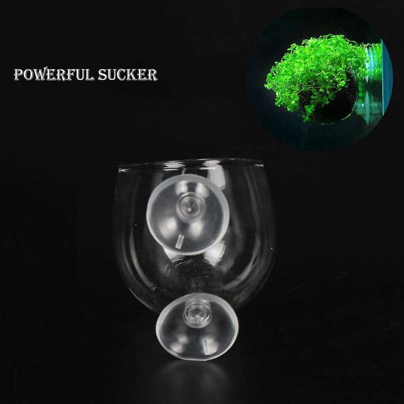 Aquatic Planter Red Shrimp Live Plants Fish Tank Glass Holder