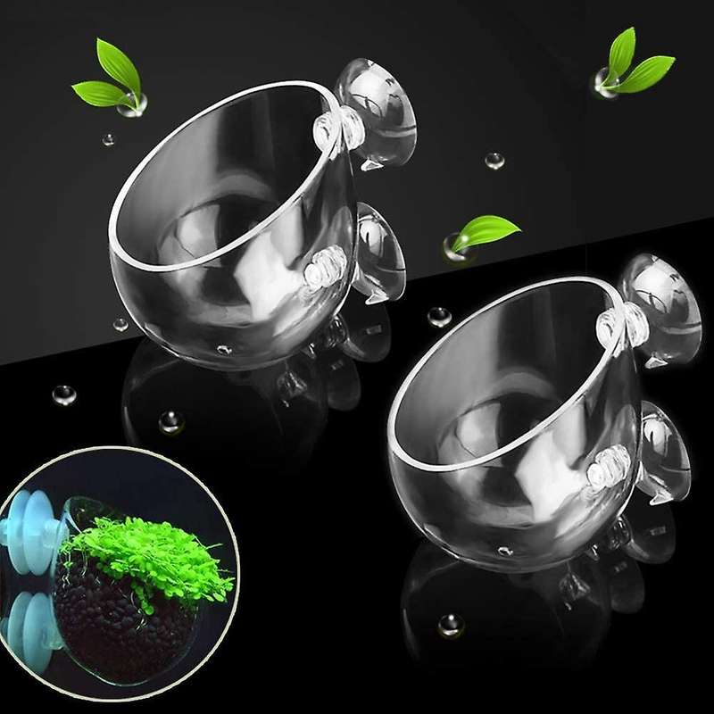 Aquatic Planter Red Shrimp Live Plants Fish Tank Glass Holder