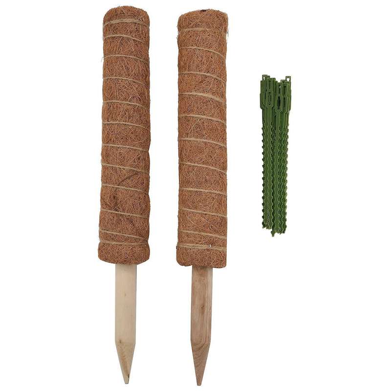 Moss Pole 40cm for Cheese Plant, Stackable Moss Stick and Ties