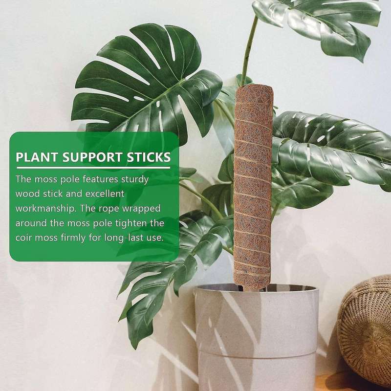 Moss Pole 40cm for Cheese Plant, Stackable Moss Stick and Ties