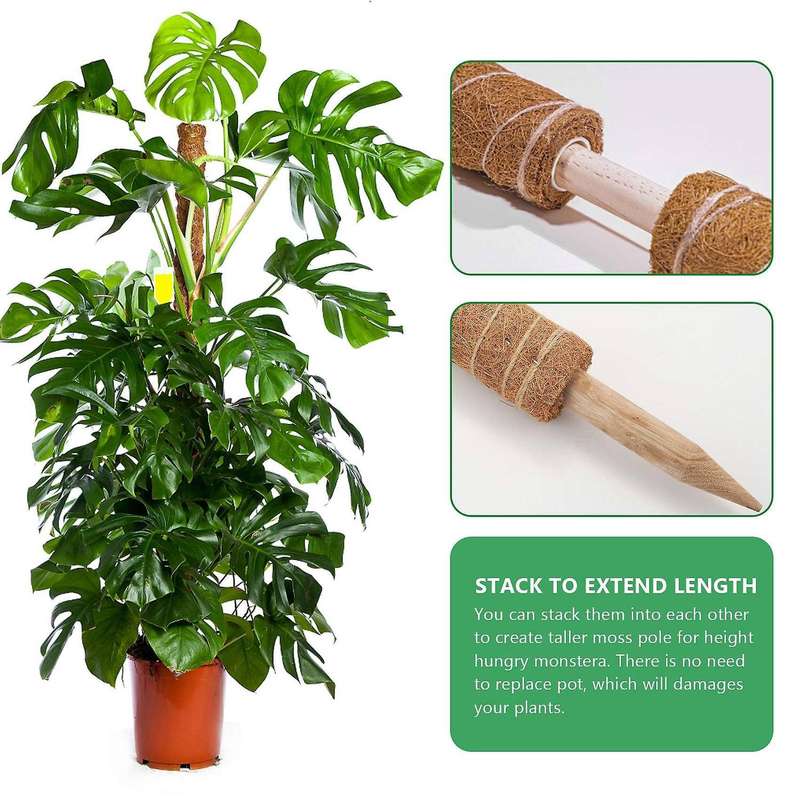 Moss Pole 40cm for Cheese Plant, Stackable Moss Stick and Ties