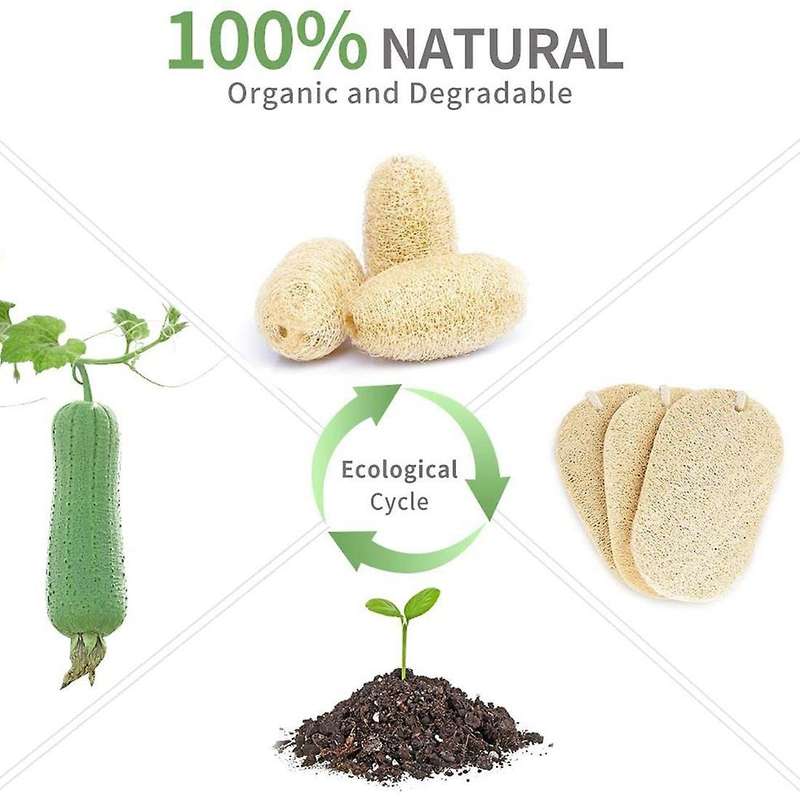 Eco Friendly Sponges, Natural Sponges for Dishes, Pots, Pans,utensils