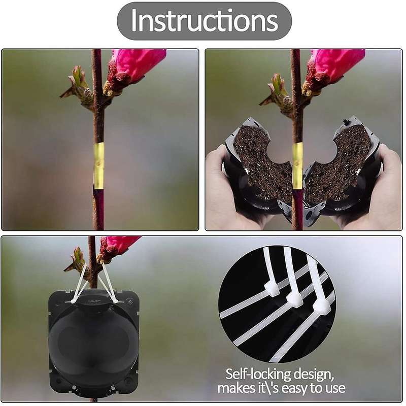 Plant Root Planting Box Grafting Equipment,plant Root Equipment Ball