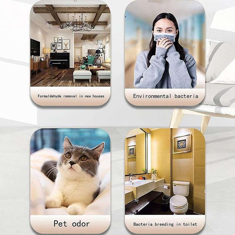 Plug-in Air Purifier,ion Generator Air Purifier for Pet Black Us Plug
