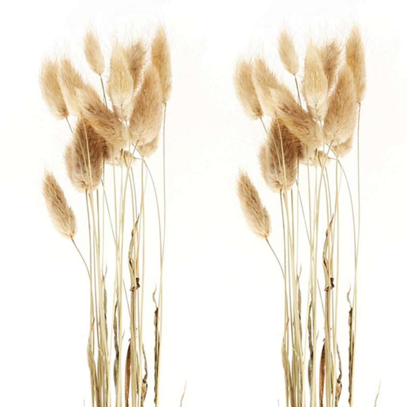 50pcs Natural Raw Color Dried Flowers Real Flower Bouquet