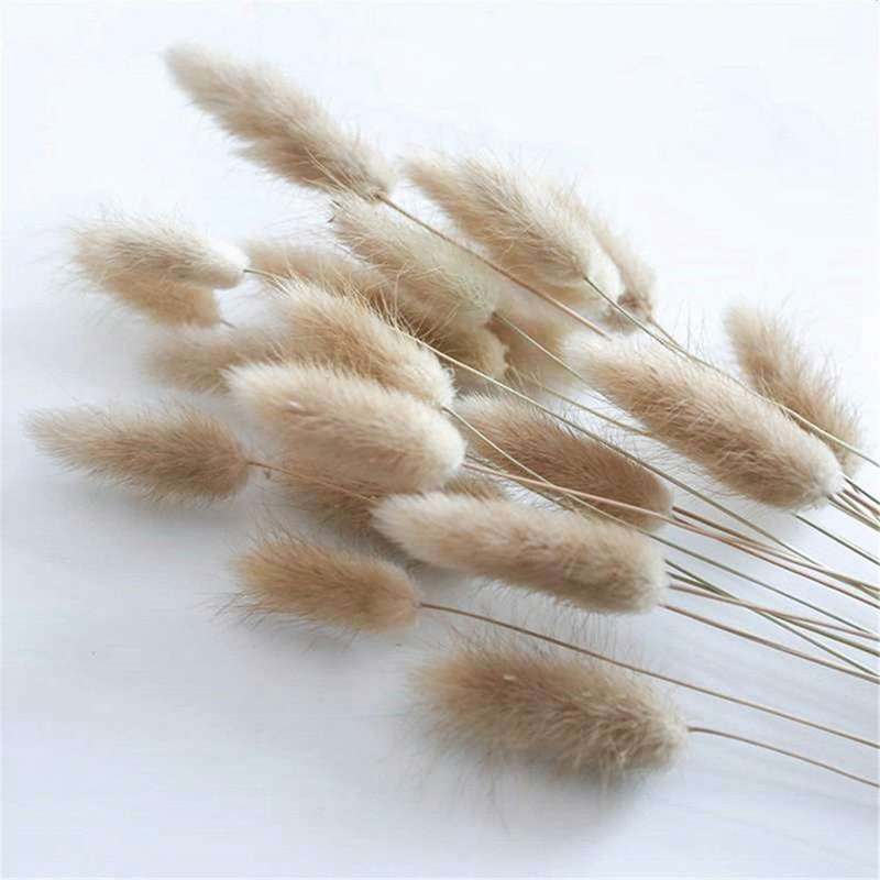50pcs Natural Raw Color Dried Flowers Real Flower Bouquet