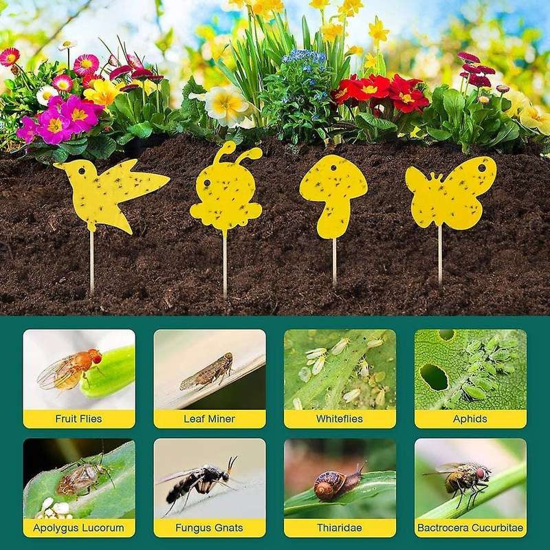 24pcs Yellow Stickers Fly Catcher, Yellow Boards