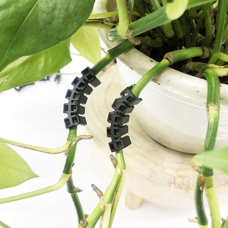 Plant Benders for Low Stress Training, Plant Training Clips
