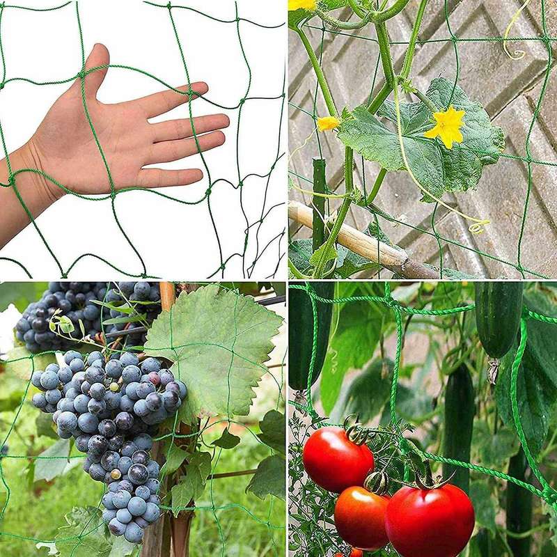 Trellis Net , Perfect for Growing Cucumbers, Tomatoes 2x5m