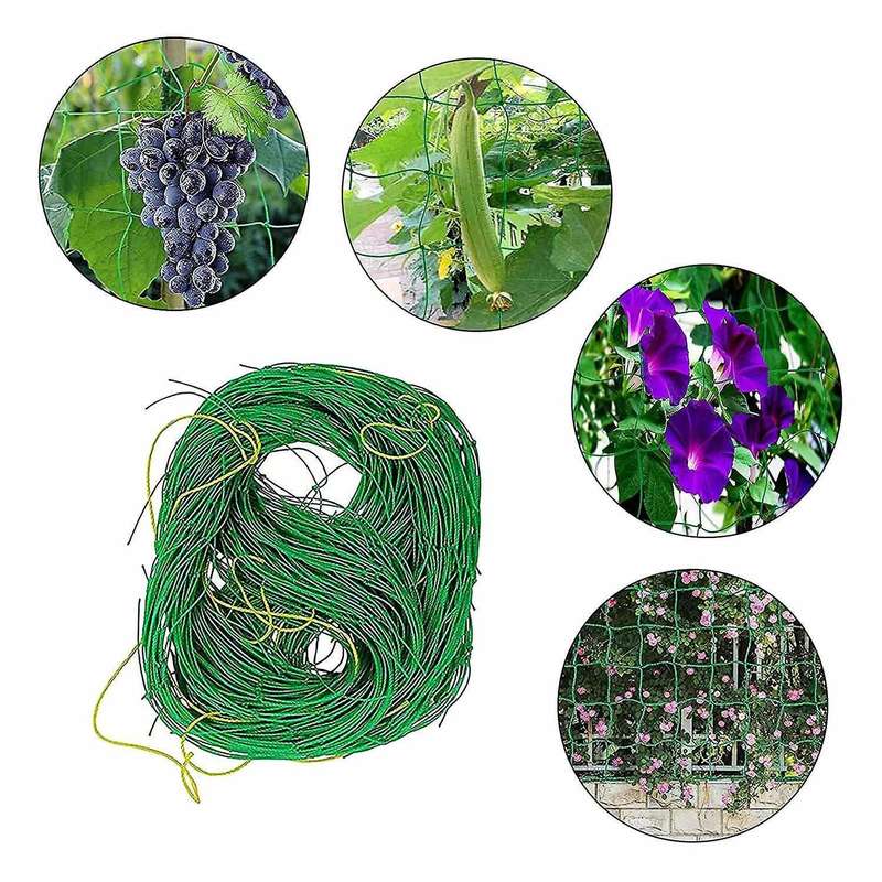 Trellis Net , Perfect for Growing Cucumbers, Tomatoes 2x5m