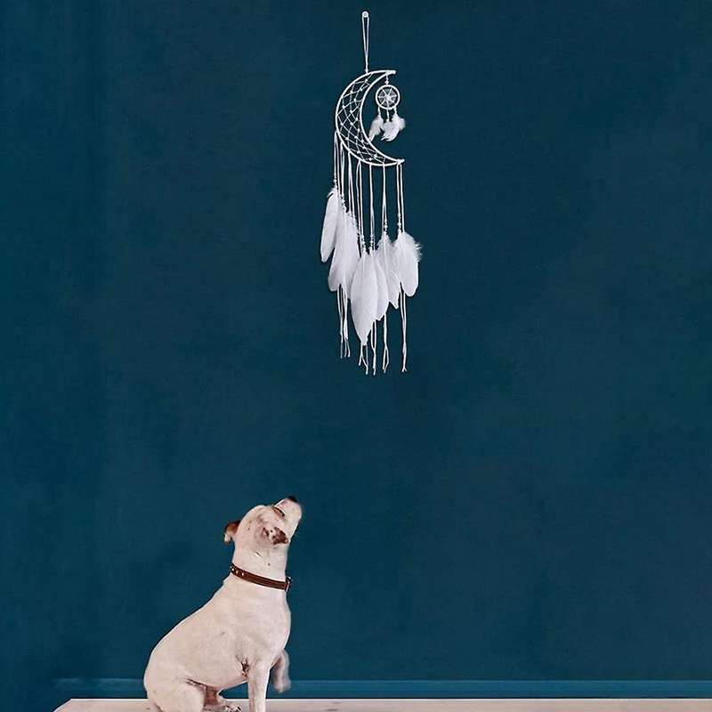 Dream Catcher Moon Design Handmade White Feather Wall Home Decoration