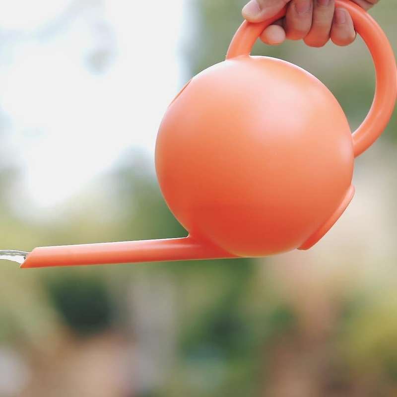 Meaty Watering Can Gardening Watering Can Large Capacity Kettle A