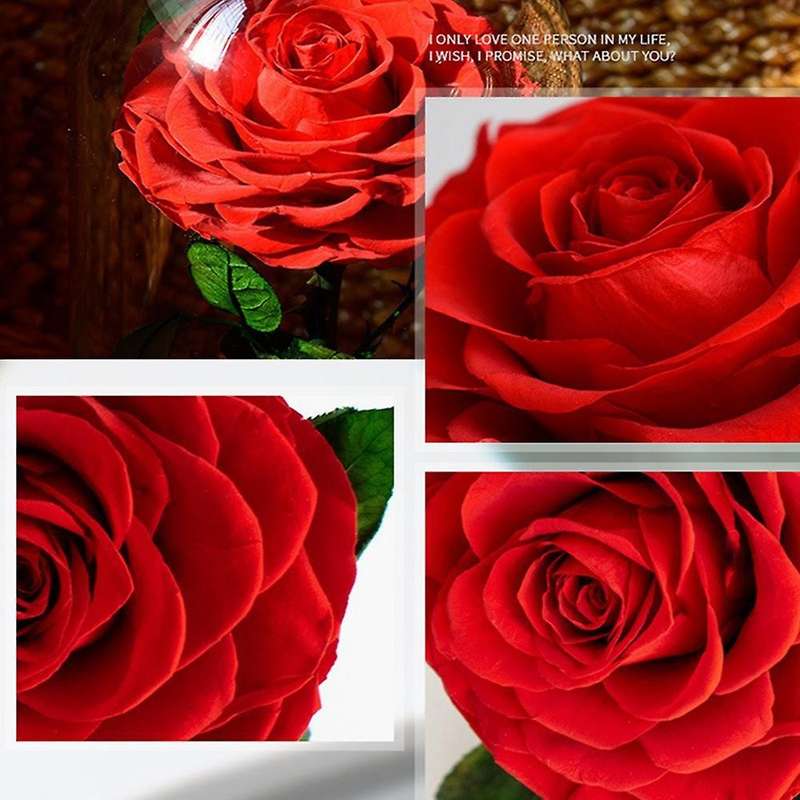 Eternal Rose In Love Box with Box Set Best Mother's Day Gift 1
