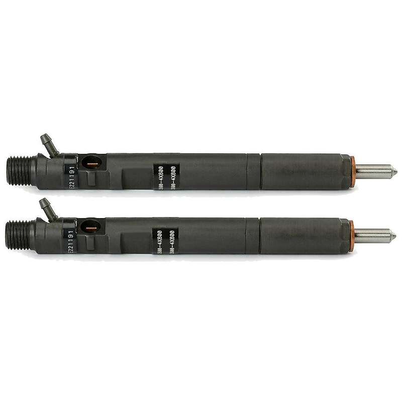 2pcs New Delphi Crdi -diesel Fuel Injector Ejbr02901d