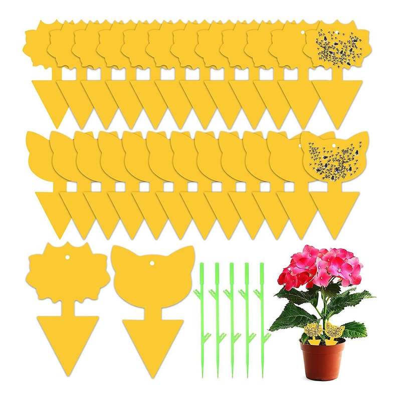 24 Pcs Yellow Sticky Fly Traps Killer Gnat Sticky Traps