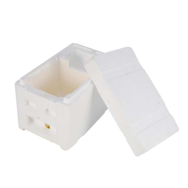 Bee Hive Beekeeping King Box Pollination Box Foam Frames Tool Kit