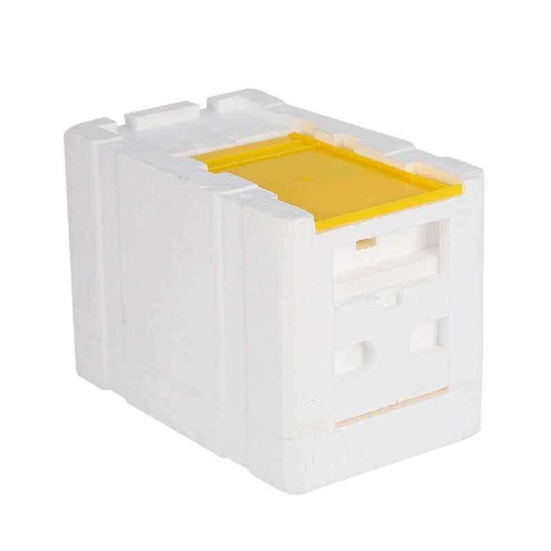 Bee Hive Beekeeping King Box Pollination Box Foam Frames Tool Kit