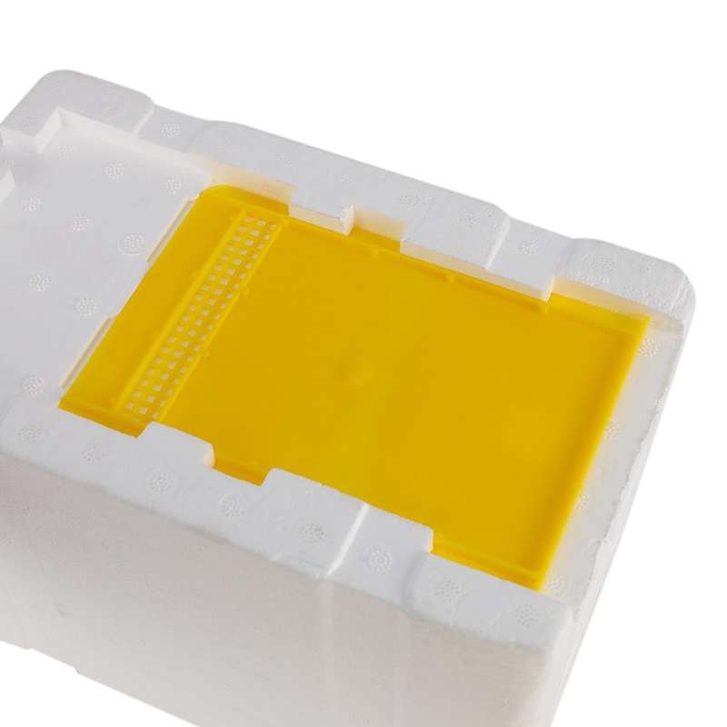 Bee Hive Beekeeping King Box Pollination Box Foam Frames Tool Kit