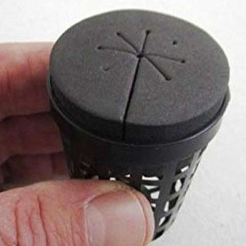 60pcs Garden Clone Collars Sponge Block for 2 Inch Cloning Machines
