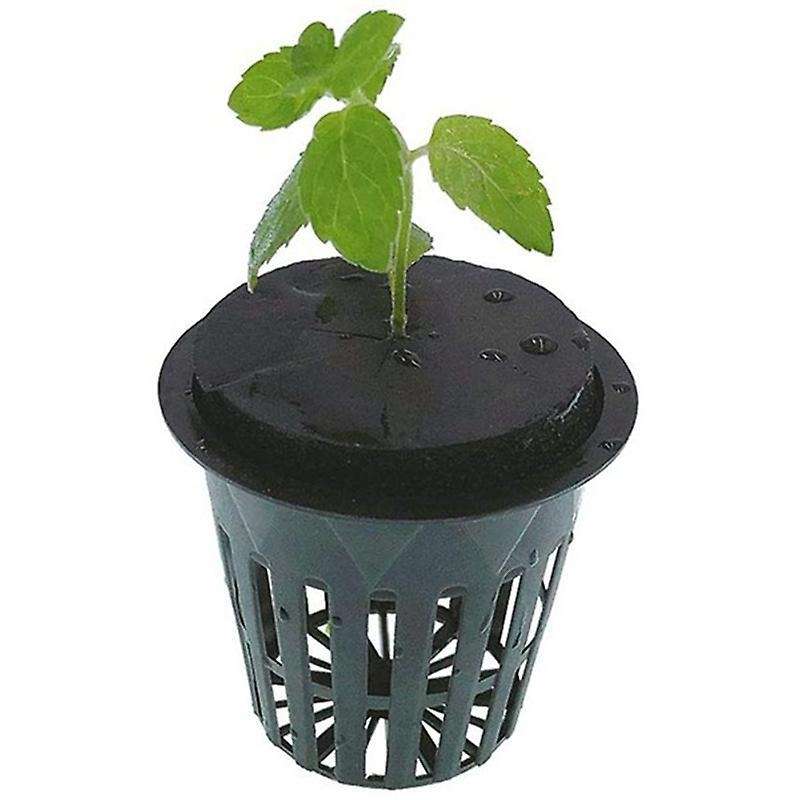 60pcs Garden Clone Collars Sponge Block for 2 Inch Cloning Machines