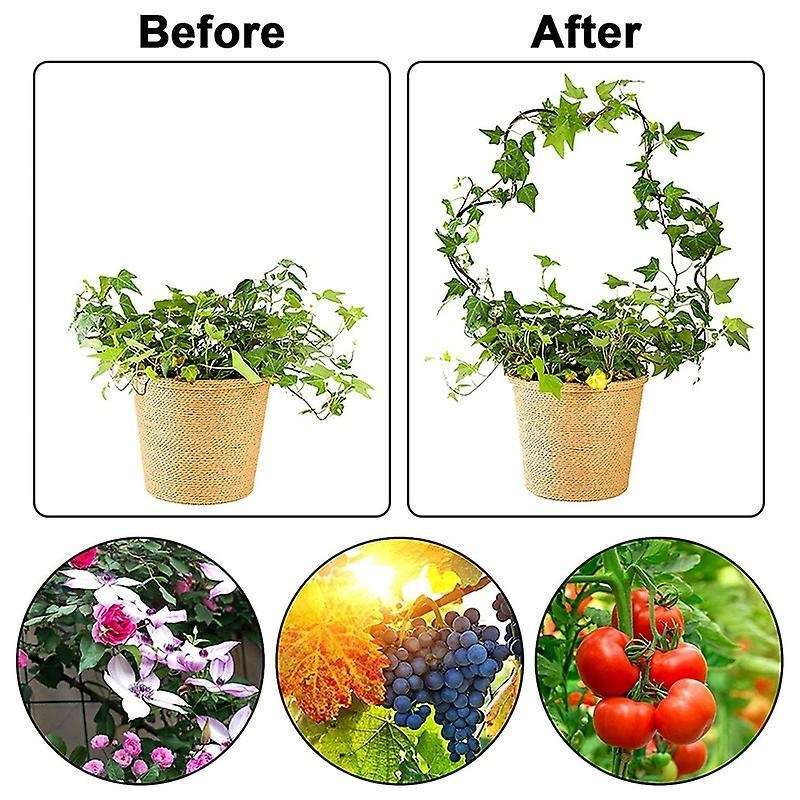 2pc Rust-proof Metal Support Line for Garden Potted Climbing Stems-b