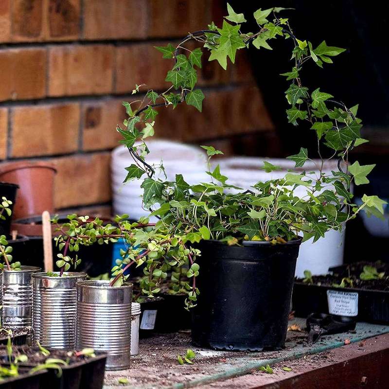2pc Rust-proof Metal Support Line for Garden Potted Climbing Stems-b