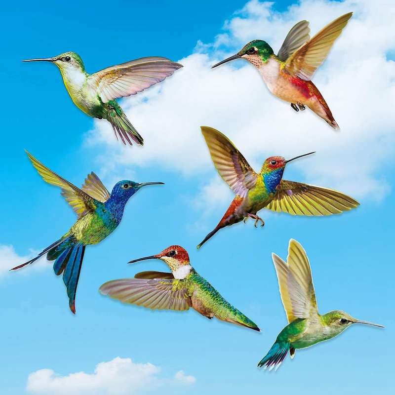 6 Pcs Large Size Bird Clings Anti-collision Window Clings