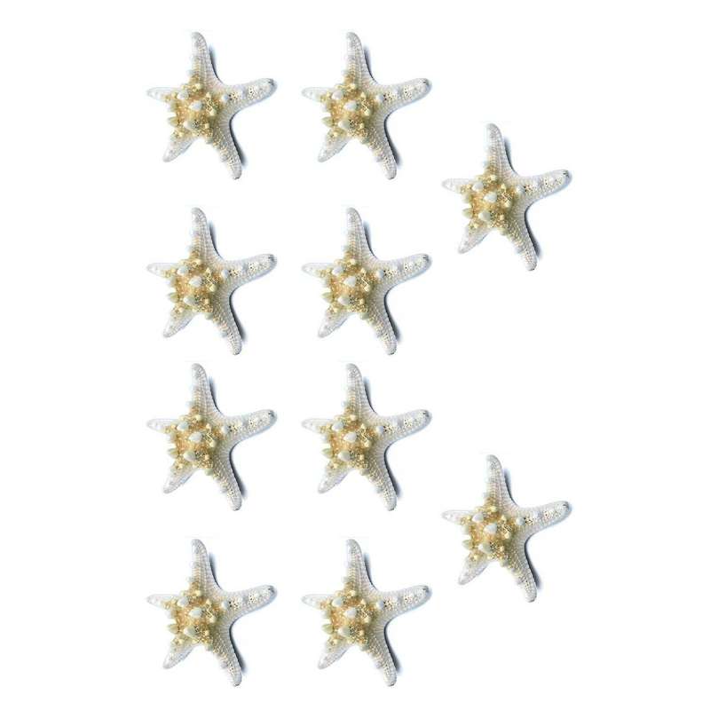 10pcs/lots Crafts White Bread Sea Shell Starfish, Fashion Handicrafts