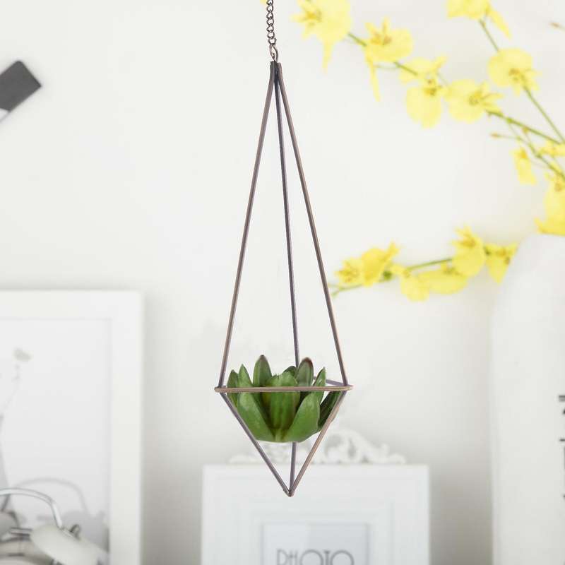 1 Pack Hanging Air Plant Holder for Tillandsia with Chains Bronze
