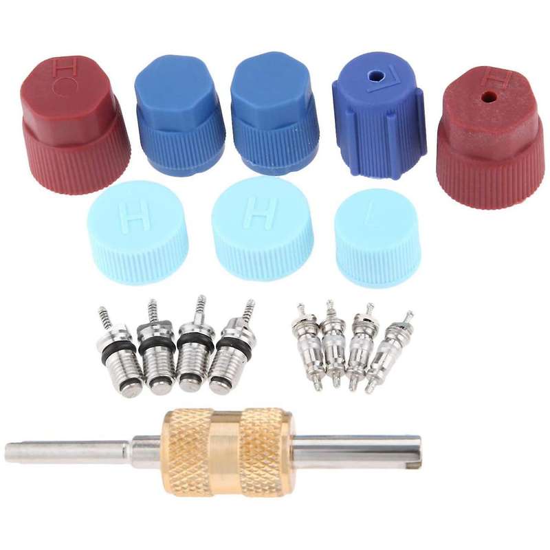 17pcs Air Conditioning Valve Core Kit Valve Cores Accessories Tool