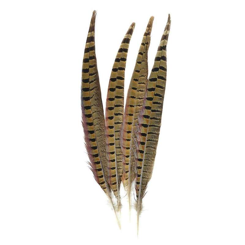 Contact Of Nature Ringneck Pheasant Feathers 4/pcs, Natural